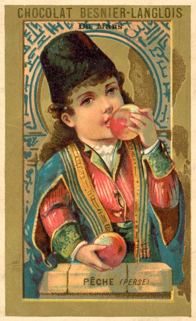 Persikat Persiasta (chromolitho) tekijältä French School