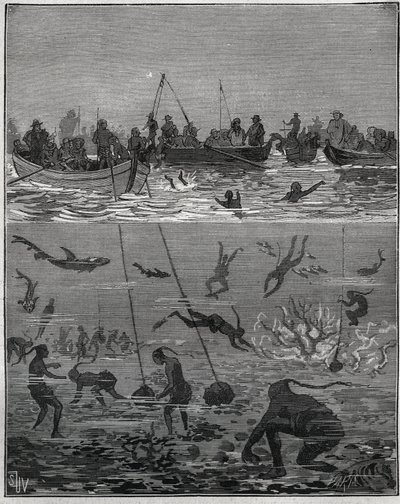 Pearl persikoita Ceylonissa (nykyinen Sri Lanka) 1800-luvulla. Kaiverrus vuodelta 1885 kirjassa "Les arts et metiers illustres", kirjoittanut Adolphe BITARD. tekijältä French School