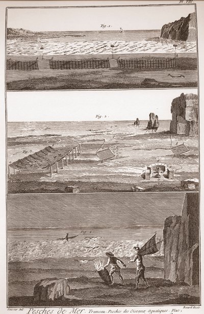 Peche de Mer - Trameau - Vesilintujen kalastus - "" Suuri tietosanakirja tai Sanakirja Raisonne des Sciences, des Arts et des Metiers" (Encyclopedia eli tieteiden, taiteiden ja ammattien sanakirja) Denis Diderot (1713-1784) ja Jean d 