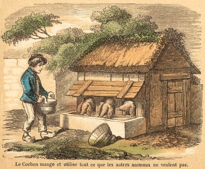 Possu (värillinen kaiverrus) tekijältä French School