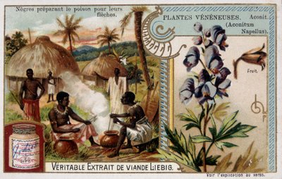 Myrkkykasvit: akonit ja afrikkalaiset valmistavat myrkkyä nuolilleen - kromo. Liebig, 1800-luvun loppu tekijältä French School