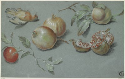 Granaattiomena ja kuollut lintu, 1800-luvun alku (liitu paperille) tekijältä French School
