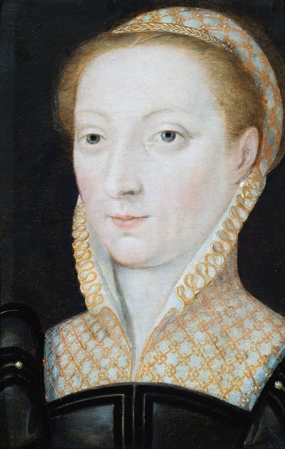 Somersetin herttuattaren Anne Stanhopen muotokuva, noin 1540 (öljy paneelille). tekijältä French School