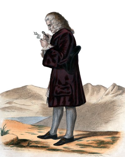 Ranskalaisen luonnontieteilijän Bernard de Jussieun (1699-1777) muotokuva. tekijältä French School