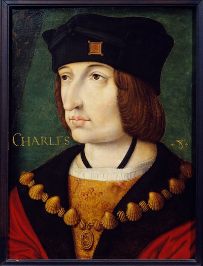 Ludvig XI:n pojan Kaarle VIII:n (1470-1498) muotokuva Jean Perrealin maalaus 1500-luvun ranskalaisesta koulusta. Himmeä. 0,36x0,27 m. Musee Conde, Chantilly tekijältä French School