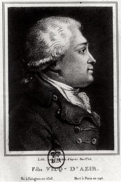 Felix Vicq dAzyrin (1748-94) muotokuva tekijältä French School