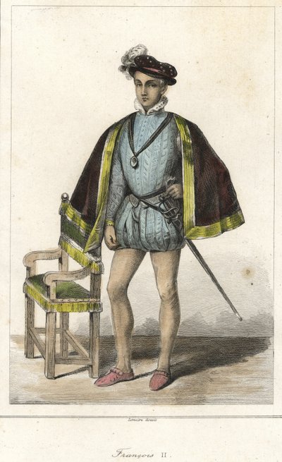 Ranskan kuninkaan Francois II:n (1544-1560) muotokuva. tekijältä French School