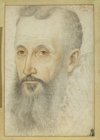 George Talbotin, Shrewsburyn kuudennen jaarlin (1528-90) muotokuva (liitu paperille) tekijältä French School