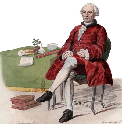Georges Louis Leclercin muotokuva, kreivi de Buffon (1707-1788), ranskalainen luonnontieteilijä. tekijältä French School
