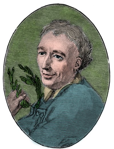 Laurence Eusdenin (1688-1730) muotokuva englantilainen runoilija. tekijältä French School