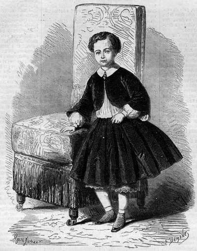 Napoleon Eugene Louis Jean Joseph Bonaparten (1856-1879) muotokuva, joka tunnetaan nimellä Prince Imperial, Napoleon III:n poika. Kaiverrus "" Le Monde Illustré" -julkaisussa nro 137, 26. marraskuuta tekijältä French School