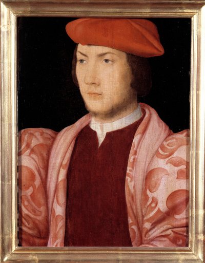 Chatillonin kardinaalin Odet de Colignyn muotokuva vuonna 1534 (ranskalaisen Marechalin Gaspard de Colignyn nivuspoika ja amiraali Gaspard de Colignyn veli) (1517-1571) noin 1535 1500-luvun ranskalaisen koulukunnan maalaus. Himmeä. 0,32x0,23m. Versaille tekijältä French School