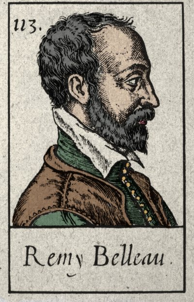 Muotokuva Remy Belleausta (1528-1577) ranskalaisesta runoilijasta, joka kuului plejadilaisuuteen. Kaiverrus 1800-luvulta. tekijältä French School