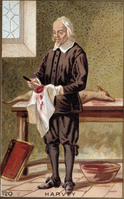 William Harveyn (1578-1657), englantilaisen lääkärin muotokuva. tekijältä French School