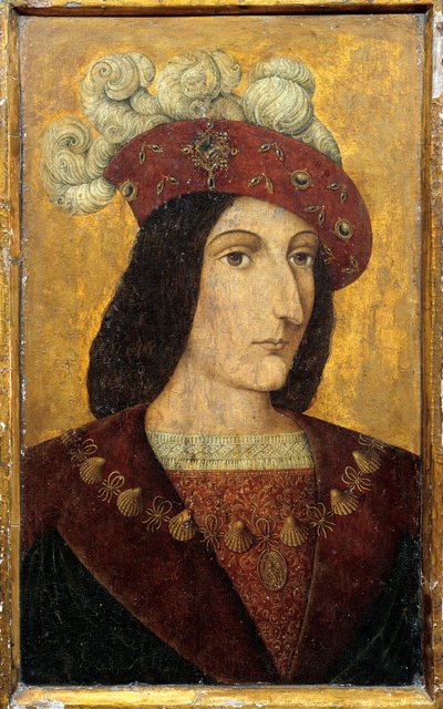Ranskan kuninkaan Kaarle VIII:n (1470-1498) muotokuva Ranskalaisen koulukunnan puumaalaus. 1400-luvun Chateau de Langeais tekijältä French School