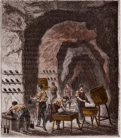 Samppanjan tuotanto - Fabrication du Champagne - Kaiverrus "Kaikkien saatavilla olevat tieteet - fysiikka ja kemia", kirjoittaja Alexis Clerc - 1800-luvun loppu - Yksityinen kokoelma tekijältä French School