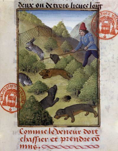 Kaninmetsästys - "" Metsästyskirjassa Gaston Phoebus, Foixin kreivi, Lord of Béarn"" tekijältä French School