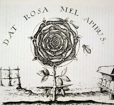 Ruusuristiläinen allegoria, kopio Johann Theodore de Bryn (n. 1598) kaiverruksesta, käytetty Taikuuden historiassa, julkaistu 1800-luvun lopulla tekijältä French School