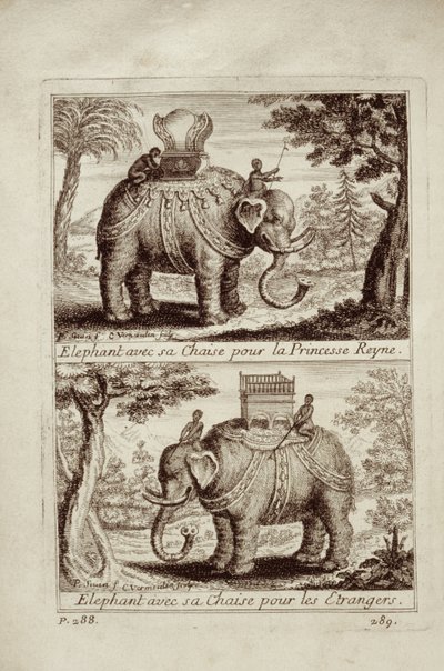 Kuninkaalliset norsut, Guy Tachardin Voyage du Siam des Peres Jesuitesista, 1688 tekijältä French School