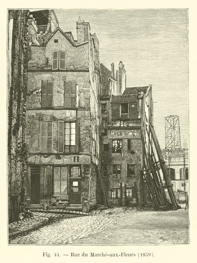 Rue du Marche-aux-Fleurs, 1859 tekijältä French School