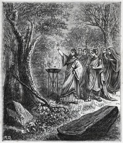 STRUFERTARI (juhla muinaisessa Roomassa räjäytyneiden puiden puhdistamiseksi) - Kaiverrus "" Tieteet tuotu kaikkien ulottuville - suosittu fysiikka ja kemia" Alexis Clerc - 1800-luvun loppu. Yksityinen kokoelma. tekijältä French School