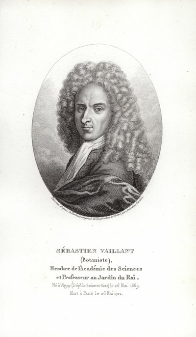 Sebastien Vaillant tekijältä French School