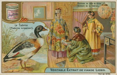 Shelduck; tarjotaan häälahjaksi Kiinassa, jossa sitä pidetään uskollisuuden symbolina tekijältä French School