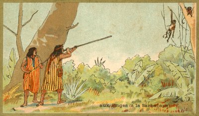 Etelä-Amerikan intiaanit metsästävät apinoita puhallusputkilla (chromolitho) tekijältä French School