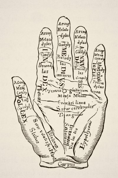 Näyte vasemmasta kädestä viivoineen ja niiden horoskooppisilla nimityksillä, Paul Lacroix -pubista Tiede ja kirjallisuus keskiajalla. Lontoo 1878 tekijältä French School