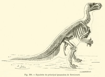 Bernissartin pääiguanodonin luuranko (kaiverrus) tekijältä French School