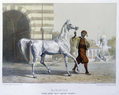 Stalon arabia, Bairaktar tekijältä French School