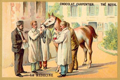 Veren ottaminen hevoselta (chromolitho) tekijältä French School