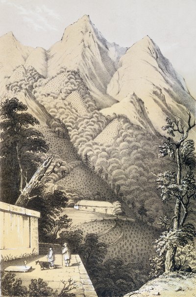 Teeviljelmät Kiinan vihreän teen alueella, otettu kirjasta Matka Kiinan teemaihin, julkaistiin ensimmäisen kerran 1852, kirjoittaja Robert Fortune (1812-1880) tekijältä French School