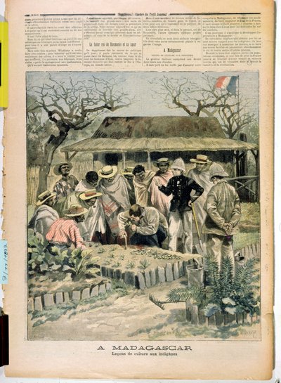 Viljelymenetelmien opetus Madagaskarin alkuperäisasukkaille, Le Petit Journal, 7. marraskuuta 1896 tekijältä French School