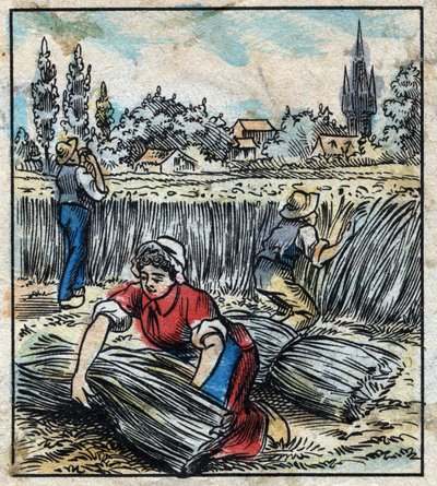 Tekstiilit, pellava: maatalous. Kerää liinavaatteet, jotka kootaan saappaan kuiviksi. Kaiverrus. Epinaalinen kuvantaminen 1800-luvun lopulla. tekijältä French School
