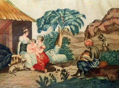 Paulin ja Virginien lapsuus, Henri Bernardin de Saint-Pierren (1737-1814) teoksesta "Paul et Virginie". tekijältä French School