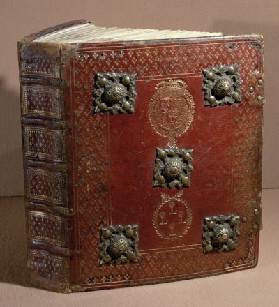 Cour des Comptesin Livre Ferre (nahka ja vellum) tekijältä French School