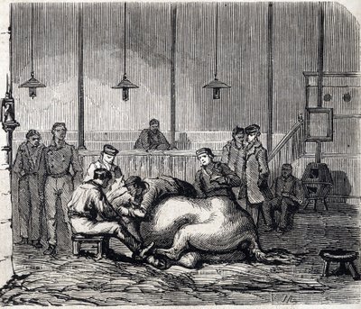 Alfortin kansallinen eläinlääkintäkoulu - Les grandes écoles de France - Maison Alfortin eläinlääkintäkoulu vuonna 1866 - Leikkihuone - Kaiverrus "Le monde illustrious" -kirjassa vuodelta 1866 tekijältä French School