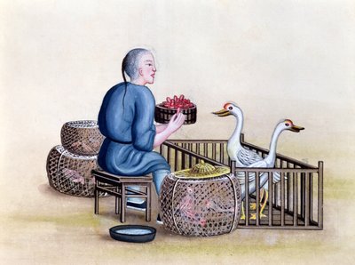 Siipikarjakauppias, kirjasta Pekingin katupuhelut, n. 1785 (wc ja guassi paperilla) tekijältä French School