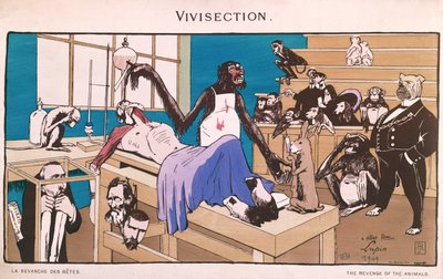 Eläinten kosto, vivisektion karikatyyri, 1909 tekijältä French School