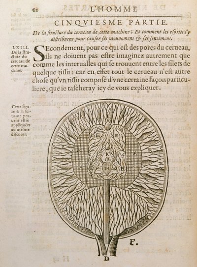 Aivojen rakenne, Rene Descartesin (1596-1650) De Homine Figuris -kirjasta, joka julkaistiin Haagissa, 1662 tekijältä French School