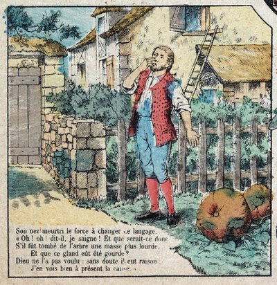 Tammenterho ja kurpitsa. Jean de La Fontainen (1621-95) satuja. Epinalin kuva 1800-luvun lopulta. tekijältä French School