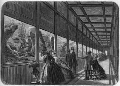 Pariisin akklimatisaatiopuutarhan akvaario vuonna 1863. tekijältä French School