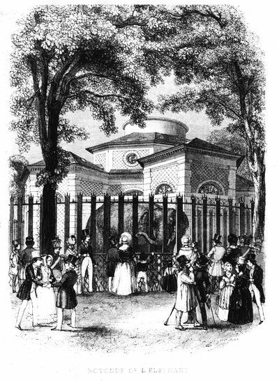 Elefanttirotunda Pariisin kasvipuutarhasta - kaiverrus tekijältä French School