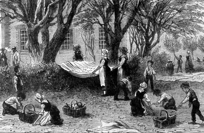 Oliivisato Provencessa - teoksessa ”Teollisuuden ihmeet”, 1800-luvun loppu tekijältä French School