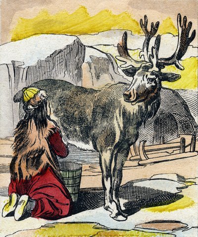 Poroa lypsätään. Kaiverrus "Buffon Alphabet des Animaux". 3. sarja N 1. Epinal, Epinal, 1800-luvun loppu. Kuvaus. 16 sivua. Mitat: 28x21cm tekijältä French School