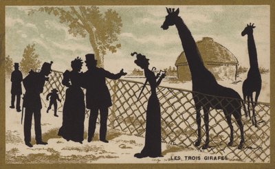 Kolme kirahvia (chromolitho) tekijältä French School