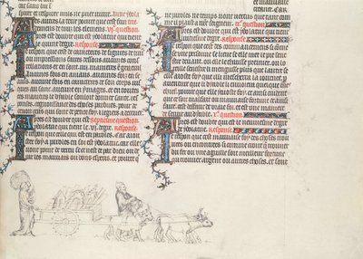 Tavaroiden kuljettaminen härän vetämissä kärryissä, keskeneräinen pienoismalli Jean de Syn Raamatusta, n. 1355 tekijältä French School