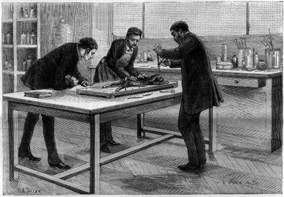 Kanin trepanaatio Louis Pasteurin (1822-1895) laboratoriossa raivotaudin tutkimista varten, piirros C.Gilbert d
