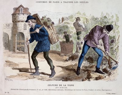 Viiniköynnöskulttuuri 1400-luvulla - "" Costume de Parisissa vuosisatojen ajan"" tekijältä French School